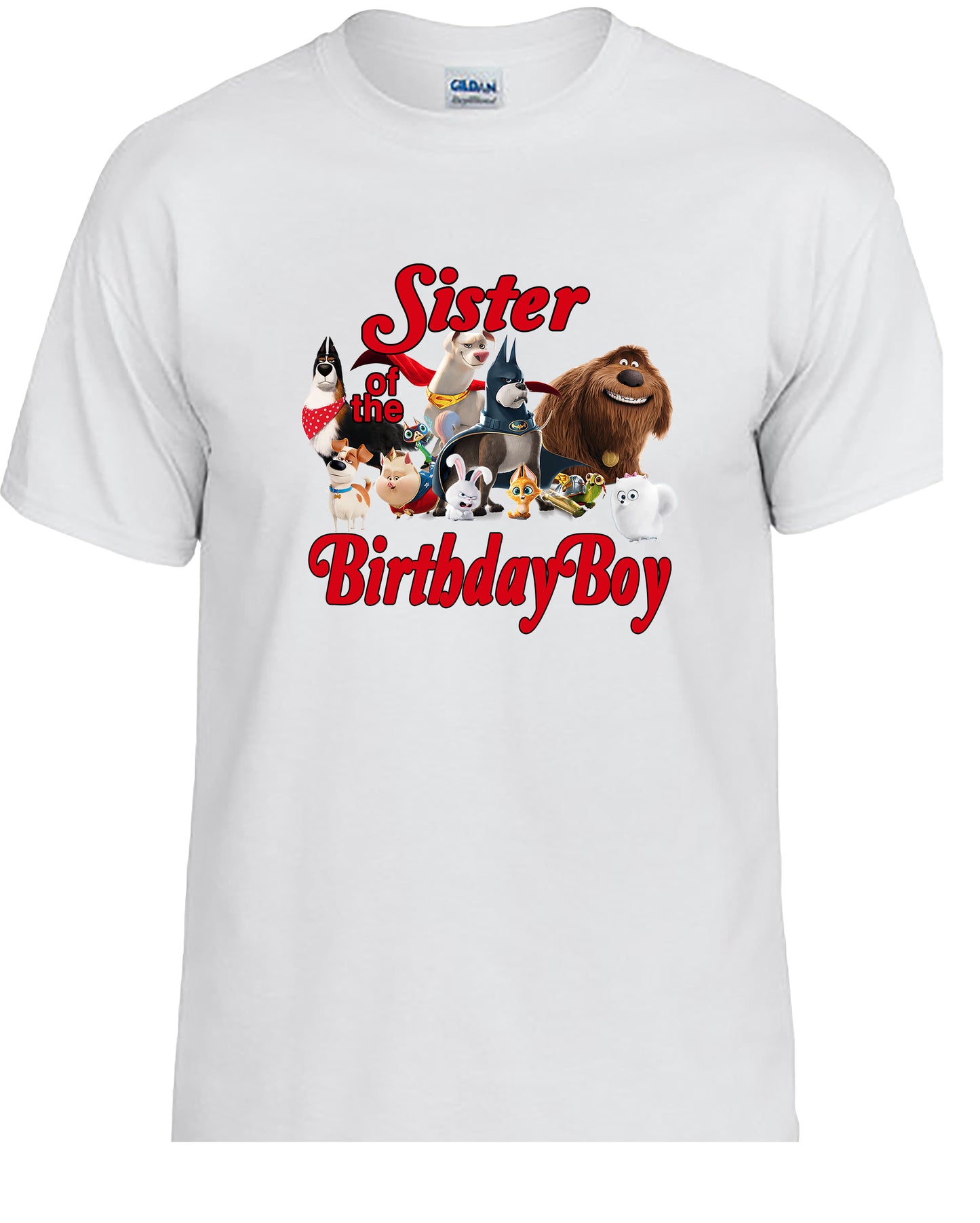 Super Pets, Family Personalized Birthday Shirts.