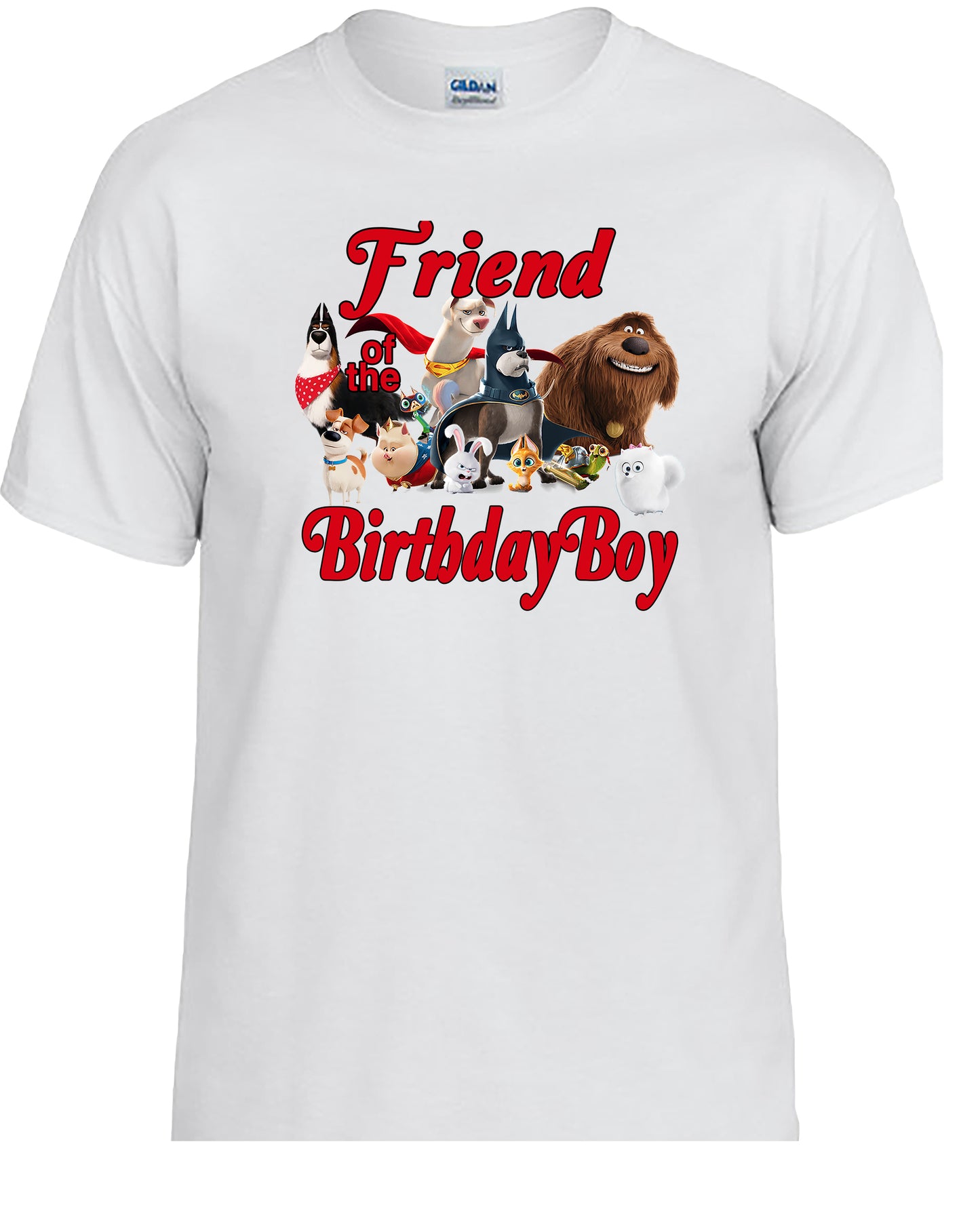 Super Pets, Family Personalized Birthday Shirts.