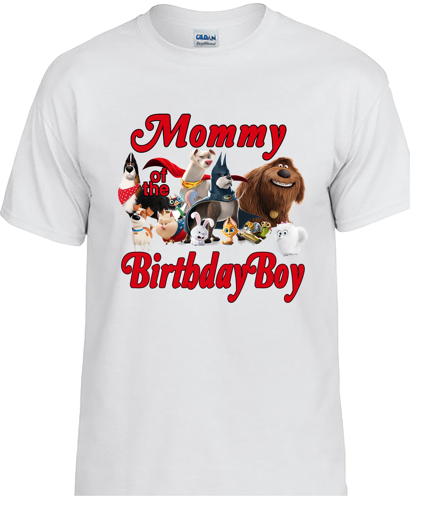 Super Pets, Family Personalized Birthday Shirts.