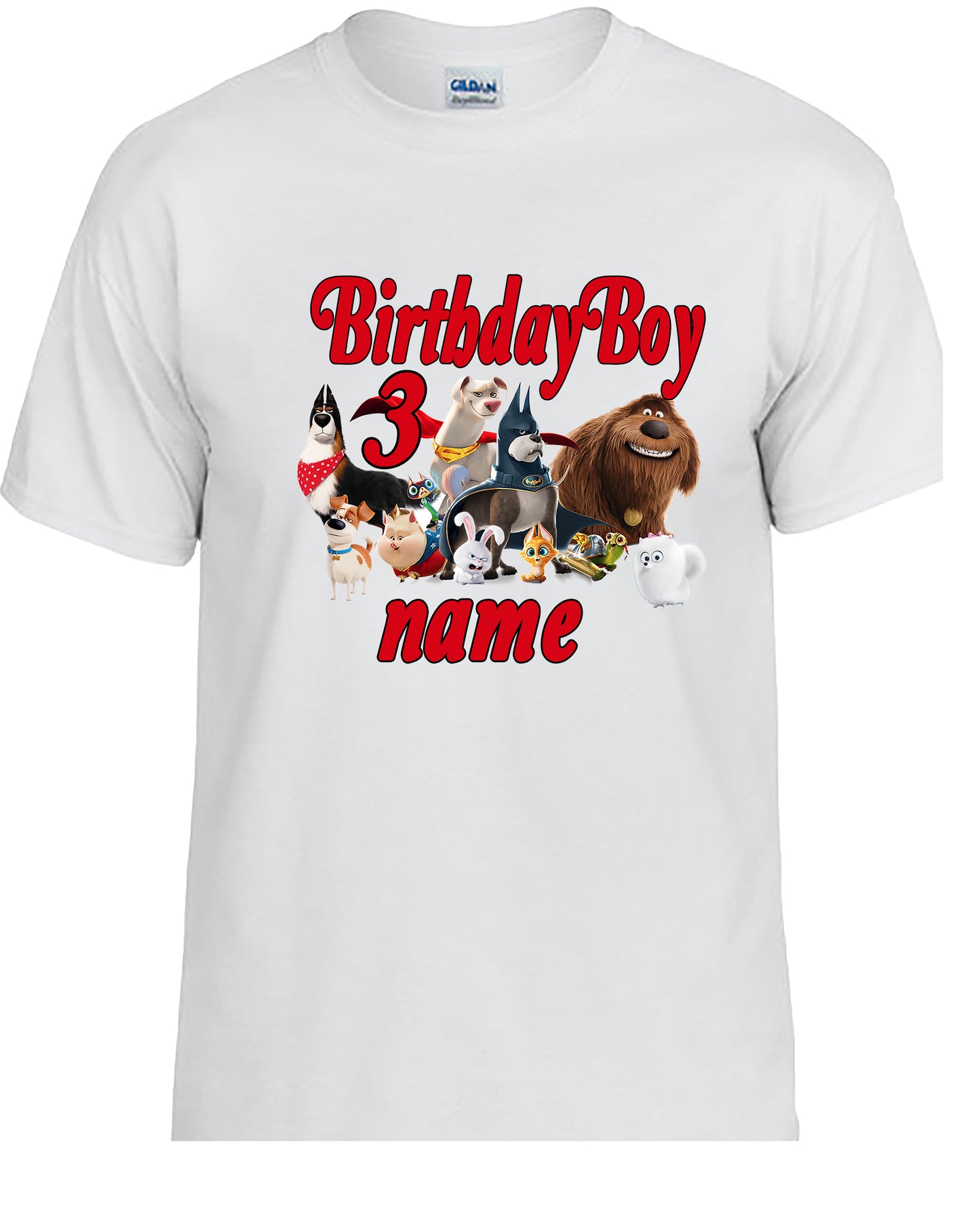 Super Pets, Family Personalized Birthday Shirts.