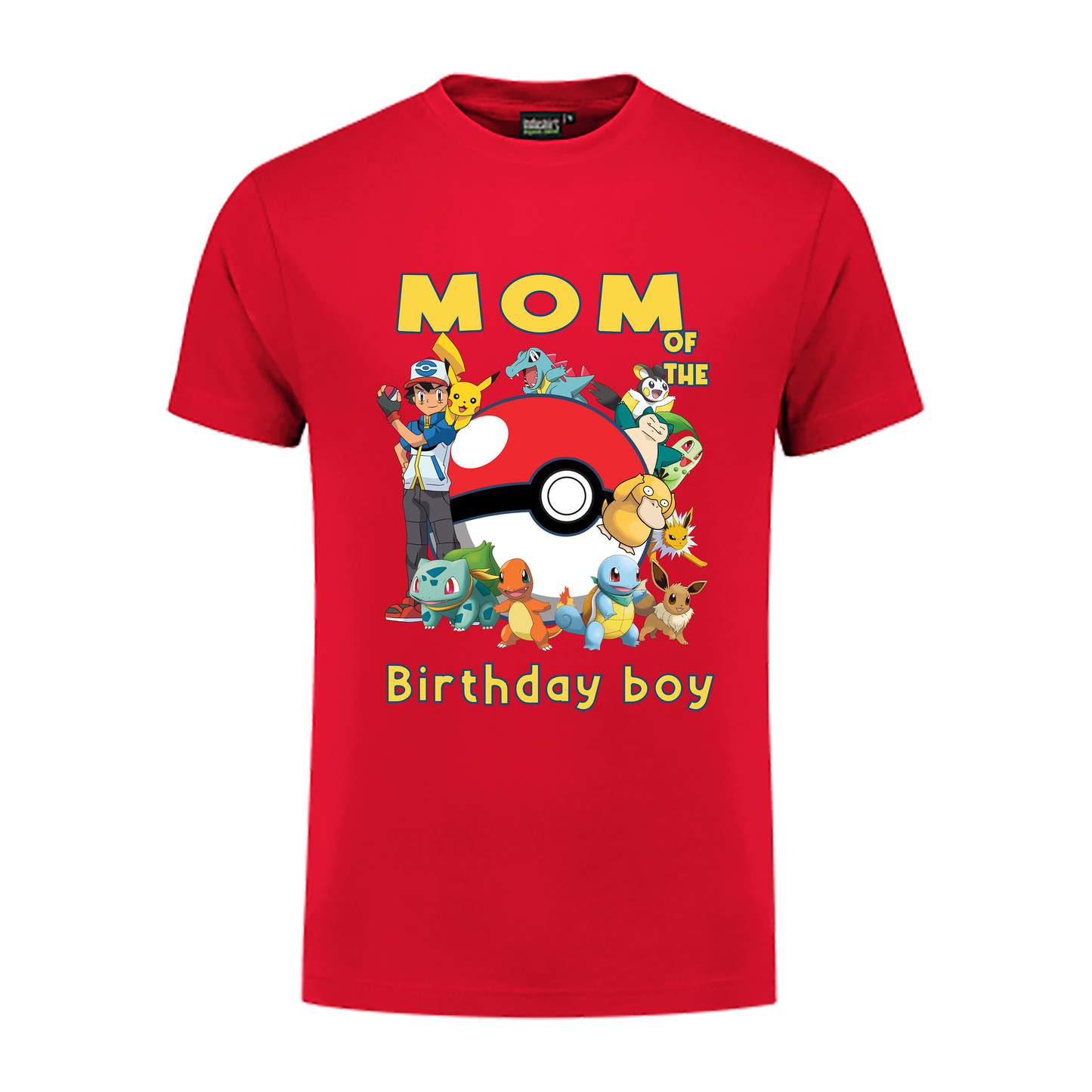 Pokémon birthday family party shirt.